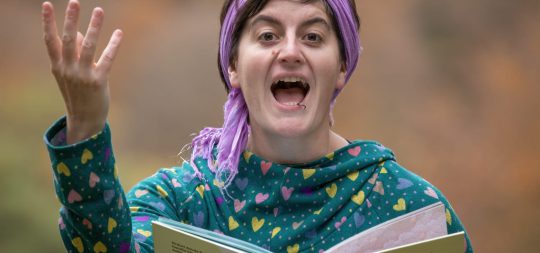 Imagen Haragi koloreko tximeleta – Ipuin Kontalaria