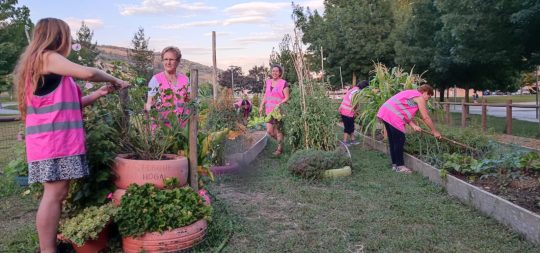 Imagen de la noticia: La huerta ecológica de mujeres de Ansoáin busca nuevas participantes