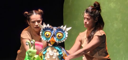 Imagen Gira el mundo, caracol